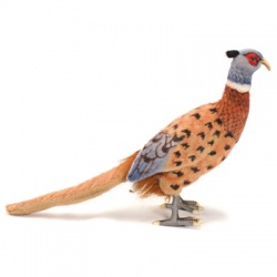 Hansa Pheasant Bird Soft Toy Animal